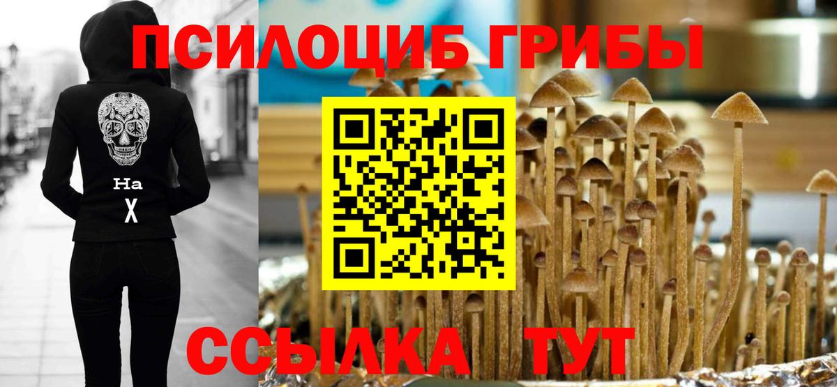 Галлюциногенные грибы Psilocybine cubensis  Вход с VPN  Советская Гавань 